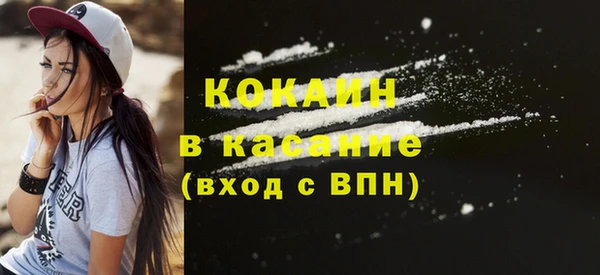 прущая мука Вяземский