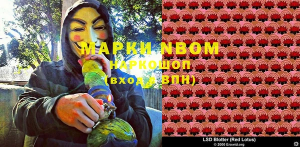 прущая мука Вяземский
